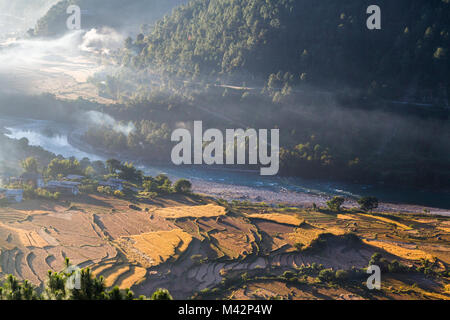 Punakha, Bhoutan. Soleil du matin illumine brume du matin dans la vallée de la rivière Mo. Banque D'Images