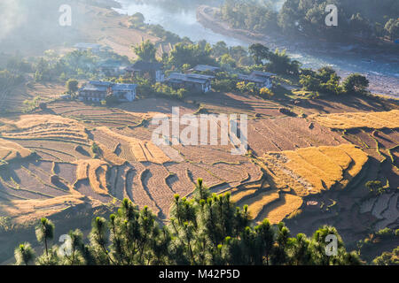 Punakha, Bhoutan. Soleil du matin illumine les champs de riz et la brume du matin dans la vallée de la rivière Mo. Banque D'Images