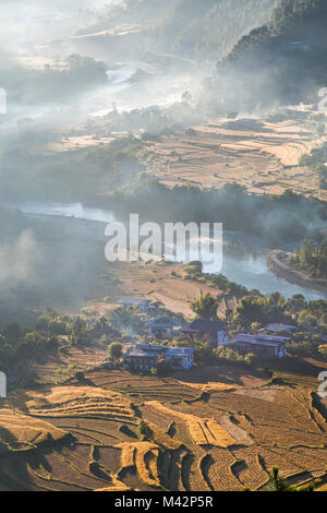 Punakha, Bhoutan. Soleil du matin illumine les champs de riz et la brume du matin dans la vallée de la rivière Mo. Banque D'Images