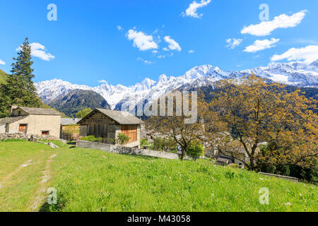 Avis de Soglio entre prairies et des sommets enneigés au printemps Maloja canton des Grisons Bregaglia Engadin Valley Suisse Europe Banque D'Images