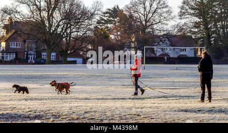 Northampton, Royaume-Uni 14 février 2018. Météo. Une lumineuse froide pour commencer la journée avec une forte gelée, Dog Walkers enveloppé contre le froid l'exercice de leurs animaux à Abington Park, la prévision est pour la pluie plus tard dans la journée. Credit : Keith J Smith./Alamy Live News Banque D'Images