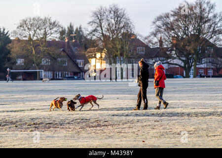 Northampton, Royaume-Uni 14 février 2018. Météo. Une lumineuse froide pour commencer la journée avec une forte gelée, Dog Walkers enveloppé contre le froid l'exercice de leurs animaux à Abington Park, la prévision est pour la pluie plus tard dans la journée. Credit : Keith J Smith./Alamy Live News Banque D'Images