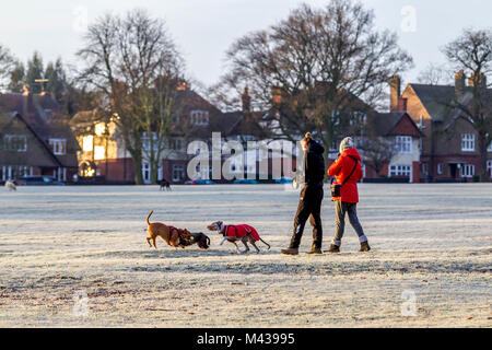 Northampton, Royaume-Uni 14 février 2018. Météo. Une lumineuse froide pour commencer la journée avec une forte gelée, Dog Walkers enveloppé contre le froid l'exercice de leurs animaux à Abington Park, la prévision est pour la pluie plus tard dans la journée. Credit : Keith J Smith./Alamy Live News Banque D'Images