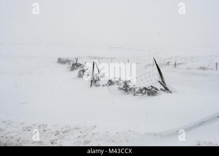 Hawes et Kettlewell, UK. 14 Février, 2018. Conditions de Blizzard sur la route entre Moss flotte Hawes et Kettlewell, la plus haute route dans le Yorkshire, comme la morsure de l'hiver continue. Credit : Wayne HUTCHINSON/Alamy Live News Banque D'Images