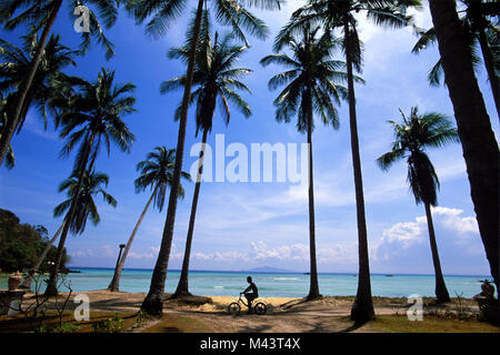 Bicycle Rider sur la plage tropicale au milieu des palmiers, l'île de Phi Phi, Thaïlande Banque D'Images