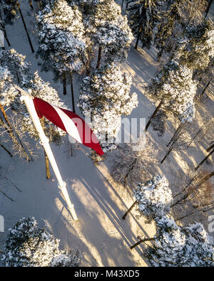 Photographie aérienne du drapeau letton élevée jusqu'au poteau dans Sunny Winter Day, entre les pins couverts de neige Banque D'Images