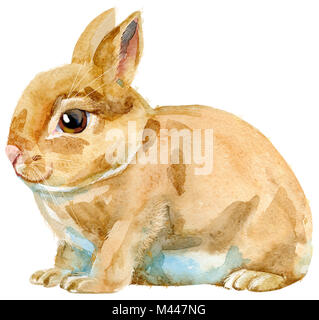 Illustration à l'aquarelle de lapin beige Banque D'Images