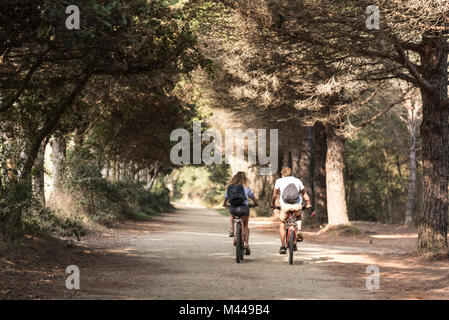 Vue arrière du couple de touristes à vélo sur route bordée d'arbres, Porquerolles, Provence-Alpes-Cote d'Azur Banque D'Images
