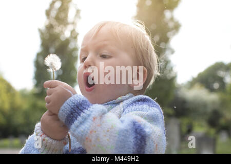 Boy blowing dandelion Banque D'Images