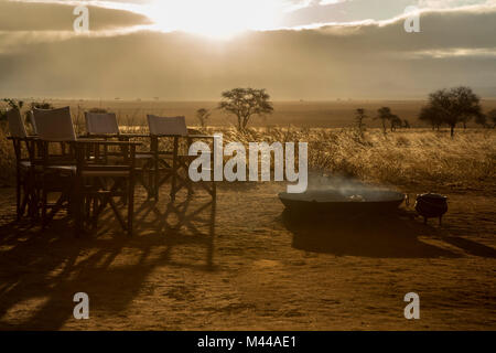 Parc national de Tarangire, Tanzanie Banque D'Images