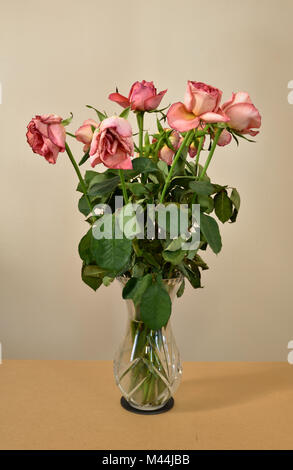 Un bouquet de roses rose meurt dans un vase de verre. Banque D'Images