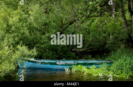 Vieux bateau à rames dans les arbres à Cong, Irlande Banque D'Images
