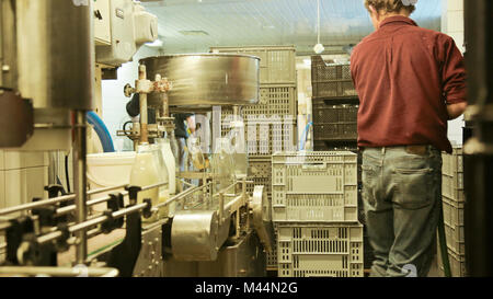 Un homme adulte qui travaille dans une petite usine laitière écologique se remplit de bouteilles de lait avec une machine d'embouteillage semi-automatique. Banque D'Images