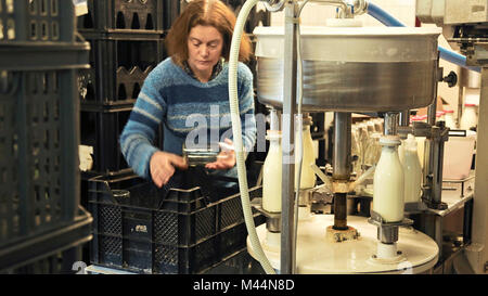 Rolde, les Pays-Bas - 28 janvier 2014 : une femme travaille dans une petite ferme laitière écologique, remplir la machine d'embouteillage du lait. Banque D'Images