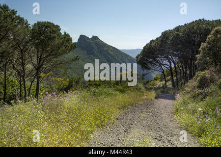 Cima del Monte la montagne près de Rio nell'Elba, Italie Banque D'Images