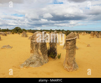 Les dunes de sable jaune et de piliers de calcaire dans le Désert des Pinnacles le Parc National de Nambung, dans l'ouest de l'Australie. Banque D'Images