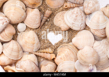 Coeur dessiné sur le sable sur la plage, au milieu des coquillages. Vacances, plage. Banque D'Images