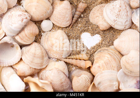 Coeur dessiné sur le sable sur la plage, au milieu des coquillages. Vacances, plage. Banque D'Images