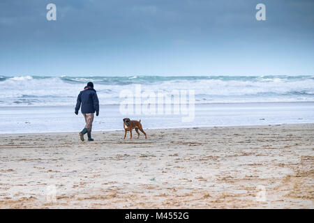 Un homme promenait son chien Boxer pet le long du littoral sur une plage de vent Rolvenden à Cornwall UK. Banque D'Images