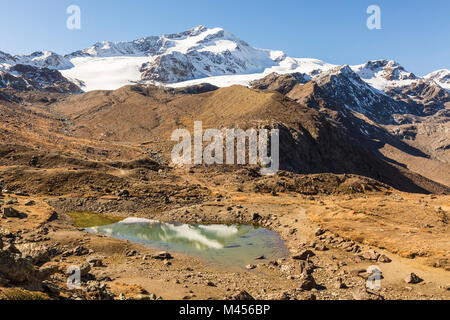 Zufallspitze reflète dans l'eau, Val Venosta, Martello, province de Bolzano, le Tyrol du Sud, Italie Banque D'Images