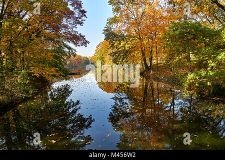 Paysage d'automne ensoleillée - un parc en couleurs d'or, une voie navigable avec îlots pittoresques autour de feuilles jaunies, dominent dans la photo Banque D'Images