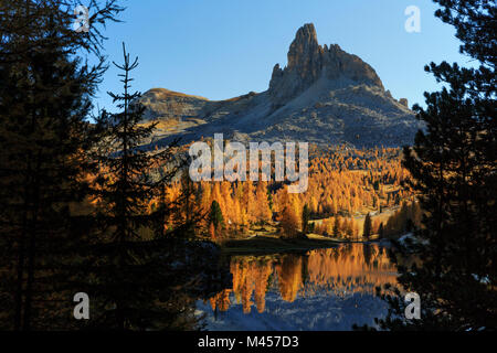 Arbres et de Becco di Mezzodì reflétant dans Lago Lac Federa en automne, Cortina d'Ampezzo, province de Belluno, Veneto, Italie Banque D'Images