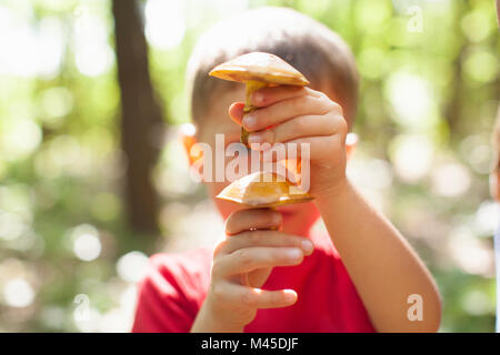 Garçon jouant avec des champignons sur sunny day in forest Banque D'Images