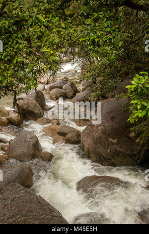 À la rivière Mossman Mossman Gorge, situé dans le parc national de Daintree - North Queensland - Australie fonçant sur Trinity Bay et la mer de Corail Banque D'Images