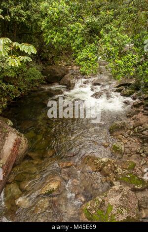 À la rivière Mossman Mossman Gorge, situé dans le parc national de Daintree - North Queensland - Australie fonçant sur Trinity Bay et la mer de Corail Banque D'Images