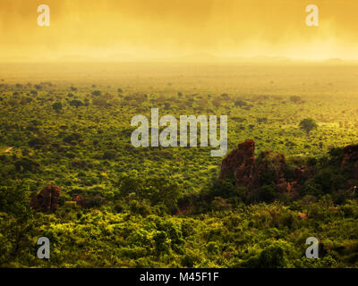 Bush, au Kenya, en Afrique. Le parc national de Tsavo Ouest Banque D'Images