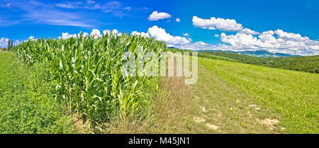 Paysage agricole dans la région de panorama La ballade Banque D'Images