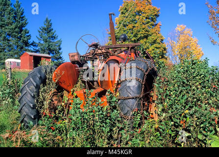 Un vieux tracteur orange, se trouve abandonné dans un champ de mauvaises herbes à la ferme en milieu rural Vermont, USA. Banque D'Images
