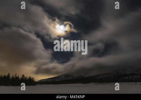 Paysage d'hiver dans moonlight, Gellivare, Laponie, Suède Banque D'Images