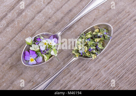 Vue de dessus sur deux cuillères à café d'argent avec des produits frais et de fleurs séchées d'un champ pansy sur fond de bois Banque D'Images