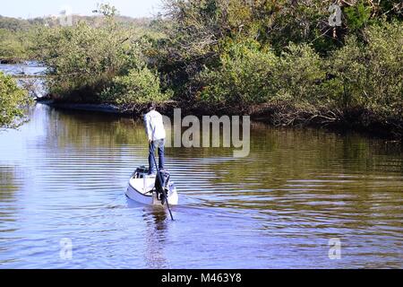 Man Jiménez-montealegre un canoë motorisé entre les îles de mangrove sur la rivière Martanzas, Flagler Beach, Floride Banque D'Images