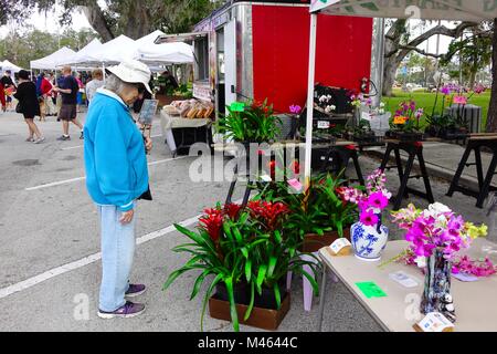 New Smyrna Beach Farmers Market, samedi matin. Femme à la recherche de l'affichage de fleurs Banque D'Images