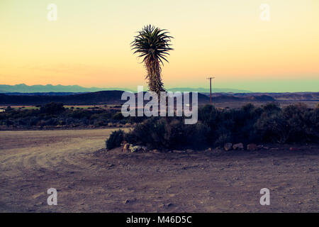 Une prise grand angle d'une route poussiéreuse sur une ferme juste à l'extérieur de Barrydale dans le semi-désert Klein Karoo, Afrique du Sud, prise juste après le coucher du soleil Banque D'Images