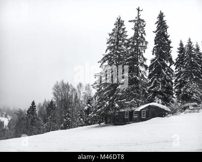 Paysage d'hiver dans la forêt de conifères. Vieille maison de bois abandonnés, la Forester's hut sur une prairie enneigée dans les Carpates en Ukraine dans le brouillard nuageux Banque D'Images