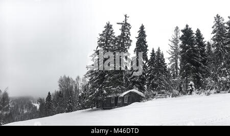 Paysage d'hiver dans la forêt de conifères. Vieille maison de bois abandonnés, la Forester's hut sur une prairie enneigée dans les Carpates en Ukraine dans le brouillard nuageux Banque D'Images