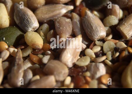 Composition de macro pour la salade graines Banque D'Images