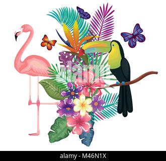 Jardin tropicales et exotiques avec vector illustration design flamand Illustration de Vecteur