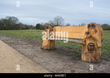 Banc en bois avec des gravures de hiboux à Bramshot Farm Country Park près de flotte dans le Hampshire, au Royaume-Uni, un site d'autres espaces verts naturels, chanta Banque D'Images