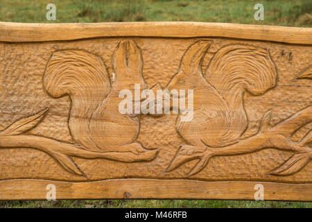 Banc en bois avec des sculptures complexes d'écureuils à Bramshot Farm Country Park près de flotte dans le Hampshire, au Royaume-Uni Banque D'Images