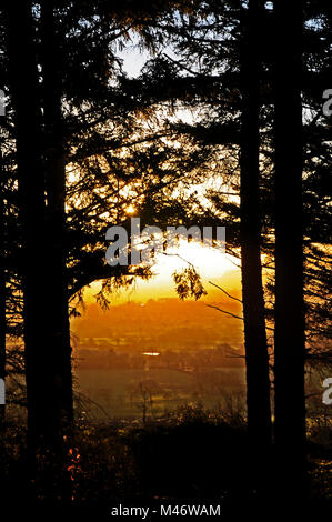 Coucher de soleil sur l'hiver a Beacon Country Park Lancashire England Banque D'Images