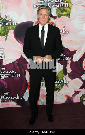 Hallmark Channel et marque les films & Mystères Hiver 2018 TCA Événement tenu au tournoi de la Chambre à Pasadena, en Californie. Avec : Guest Où : Los Angeles, California, United States Quand : 13 Jan 2018 Credit : Adriana Barraza M./WENN.com Banque D'Images