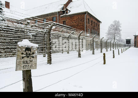 Auschwitz, Malopolskie / Pologne - 04 févr. 2018 : Auschwitz Birkenau, camp de concentration et d'extermination nazis, barbelés. Banque D'Images