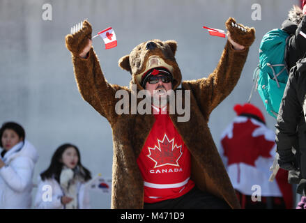 Les fans canadiens durant la sixième journée des Jeux olympiques d'hiver de PyeongChang en Corée du Sud en 2018. APPUYEZ SUR ASSOCIATION photo. Date de la photo : jeudi 15 février 2018. Voir l'histoire de l'AP OLYMPICS Skeleton. Le crédit photo devrait se lire comme suit : David Davies/PA Wire. Banque D'Images