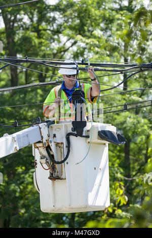 Un poseur de câble pour une société utilise une grue a/k/a plate-forme surélevée pour vérifier le signal d'une ligne de câble dans le New Hampshire, USA. Banque D'Images