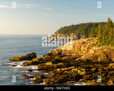 Matin vue sur Monument Cove et Otter Point, le long de la côte du Maine, l'Acadia National Park, près de Bar Harbor, Maine, USA. Banque D'Images