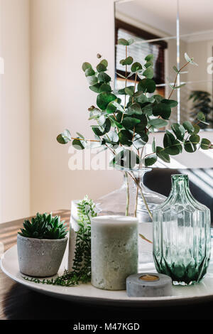 Collection de vases de verdure sur une table à manger de style Banque D'Images